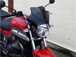 Breva Delta Windshield